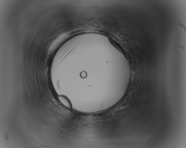 X0000100500197200807031948