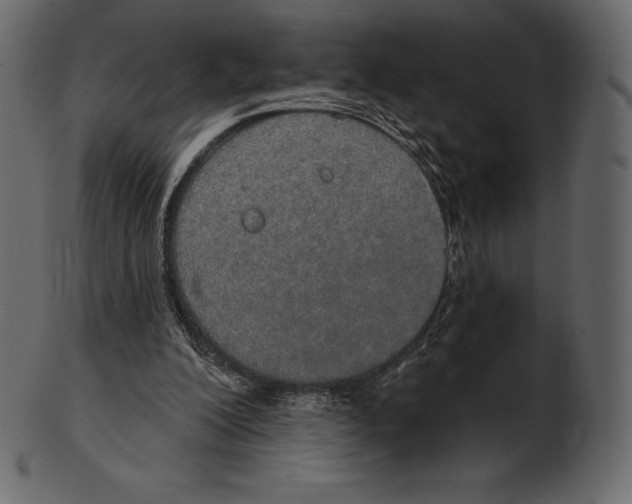 X0000100500200200807031948