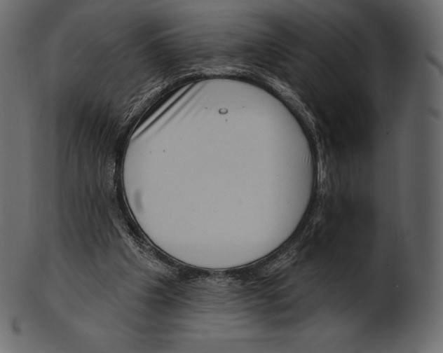 X0000100500201200807031948