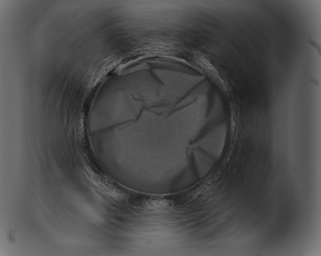 X0000100500202200807031948