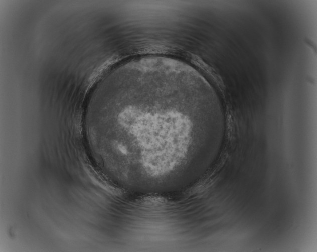 X0000100500203200807031948