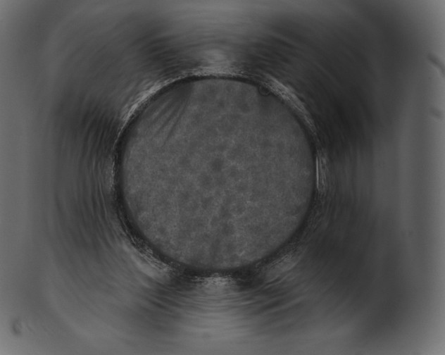 X0000100500204200807031948