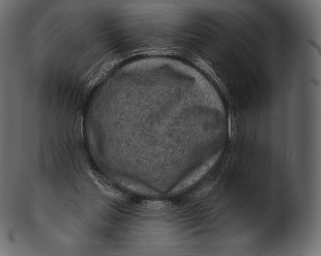 X0000100500205200807031948