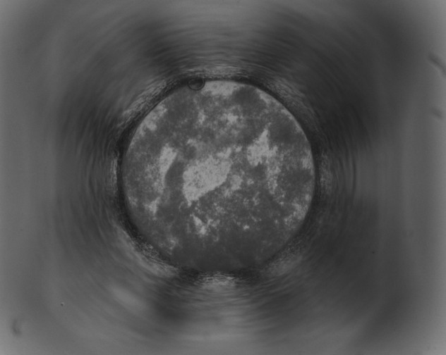 X0000100500206200807031948