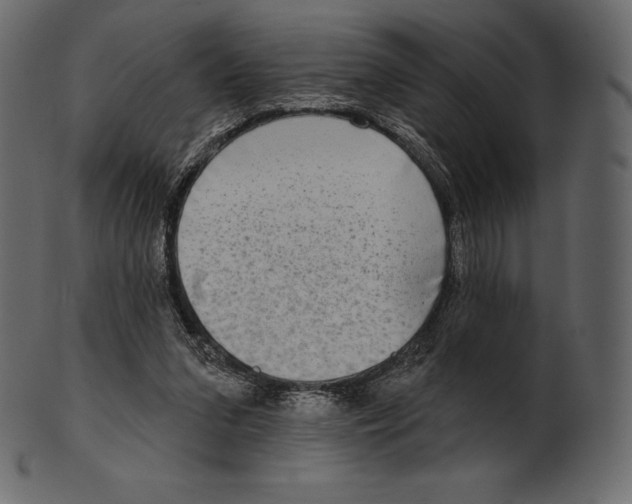 X0000100500207200807031948