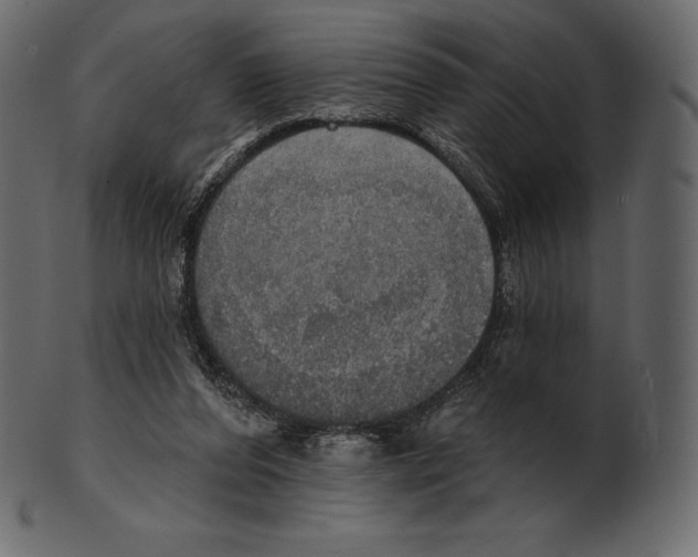 X0000100500208200807031948