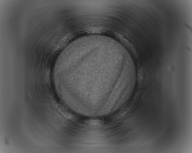 X0000100500209200807031948