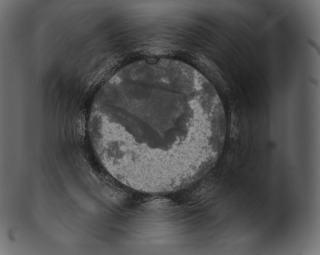 X0000100500210200807031948