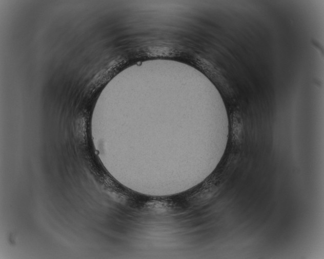 X0000100500211200807031948