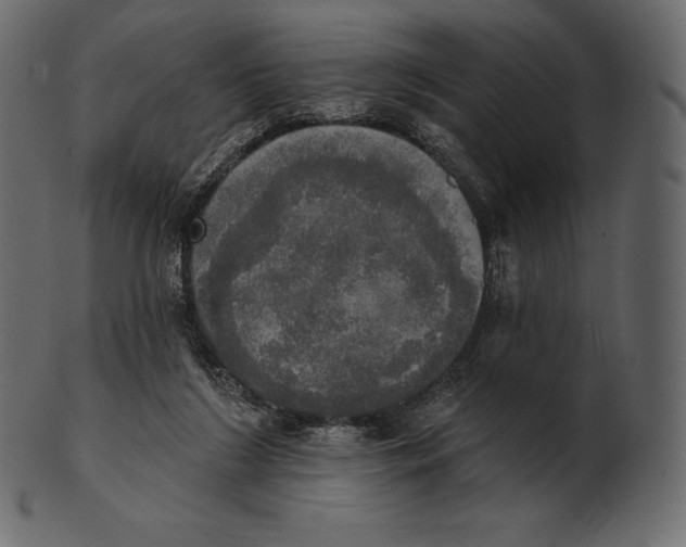 X0000100500212200807031948