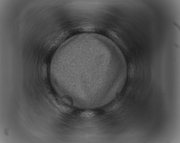 X0000100500213200807031948