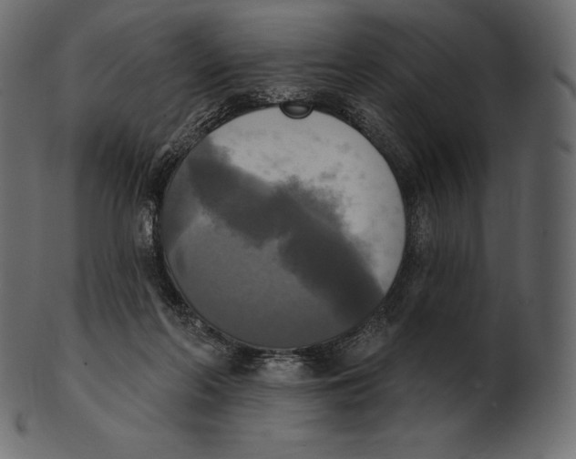 X0000100500214200807031948