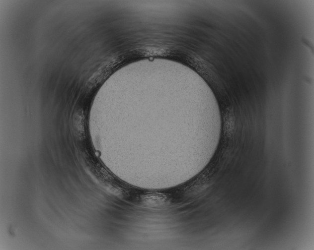 X0000100500215200807031948