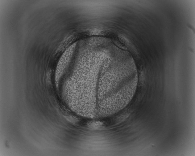 X0000100500217200807031948