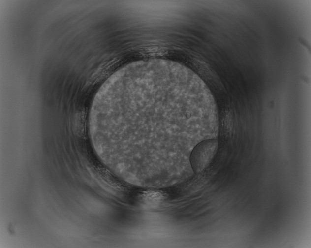 X0000100500218200807031948