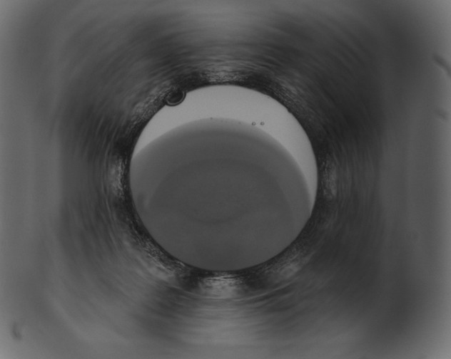 X0000100500219200807031948