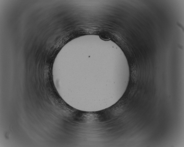 X0000100500221200807031948