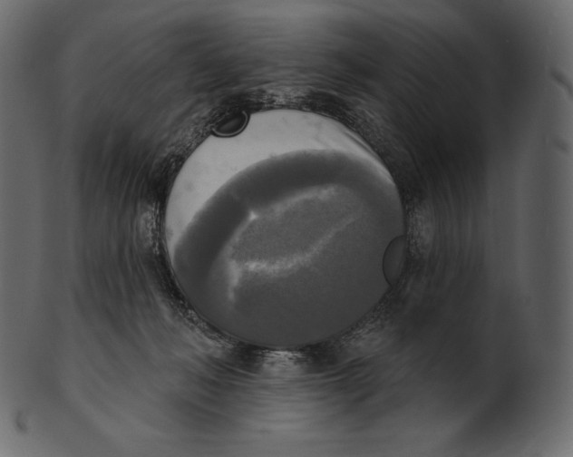 X0000100500222200807031948