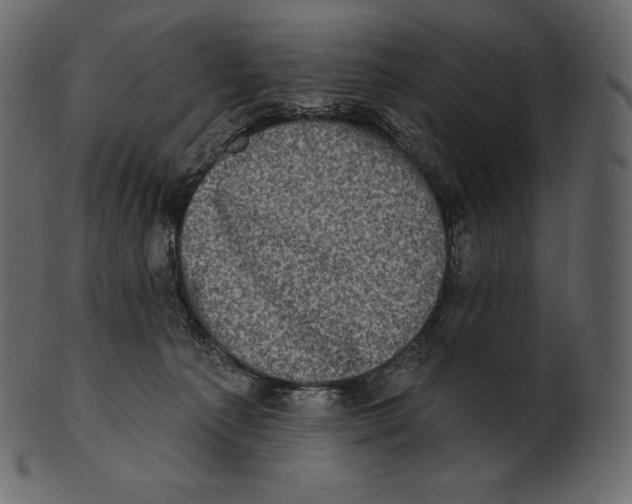 X0000100500225200807031948