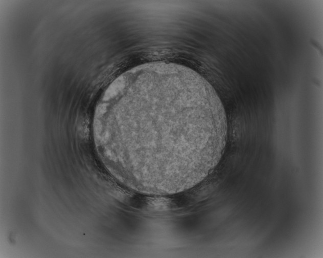 X0000100500226200807031948