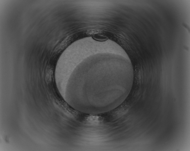 X0000100500227200807031948