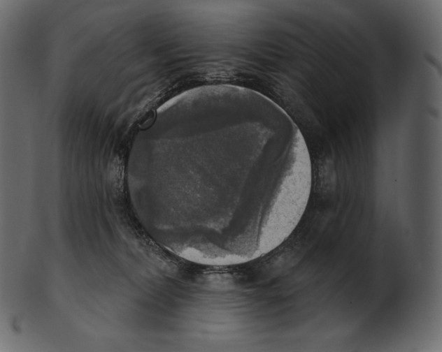 X0000100500228200807031948