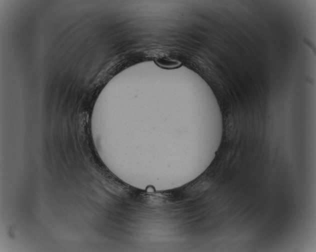 X0000100500229200807031948