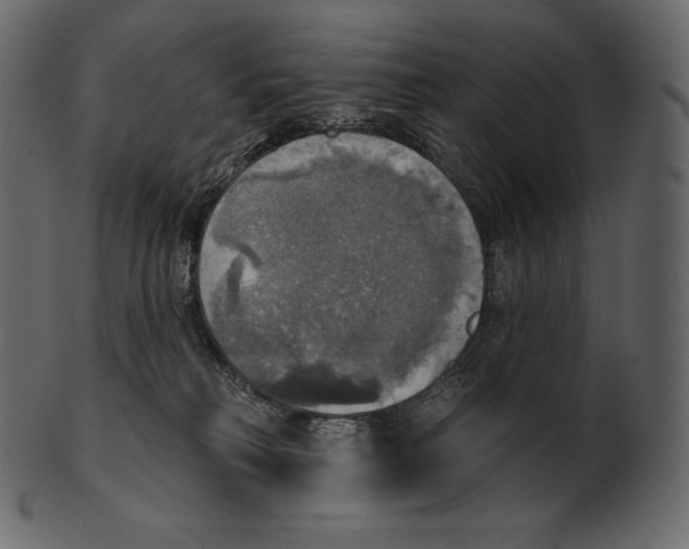 X0000100500230200807031948