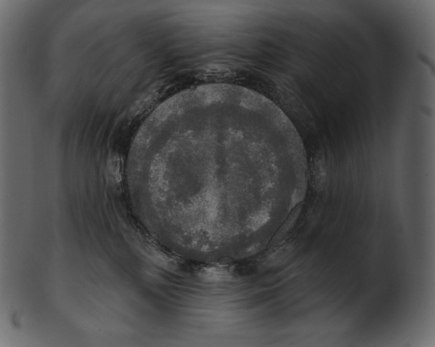 X0000100500232200807031948