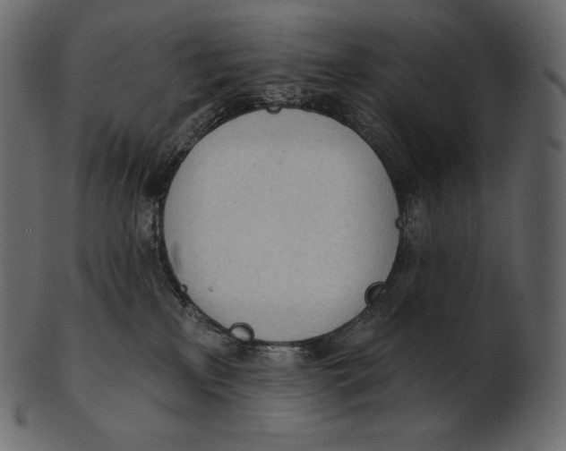 X0000100500233200807031948