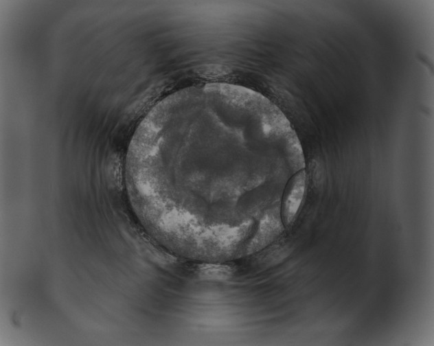 X0000100500234200807031948