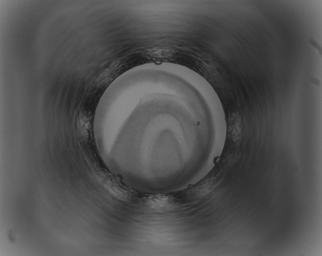 X0000100500235200807031948