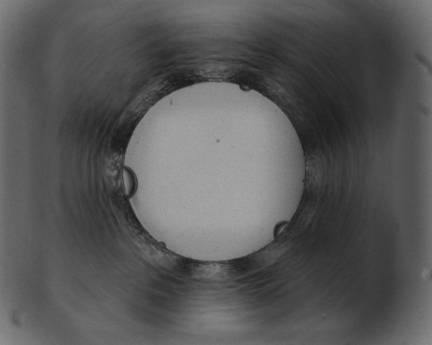 X0000100500237200807031948