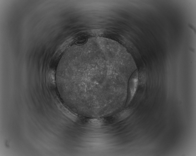 X0000100500238200807031948