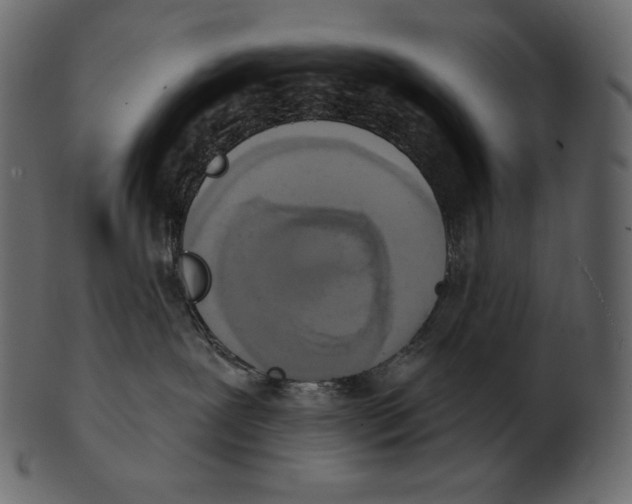 X0000100500239200807031948