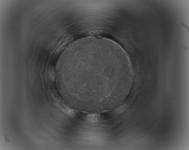 X0000100500240200807031948