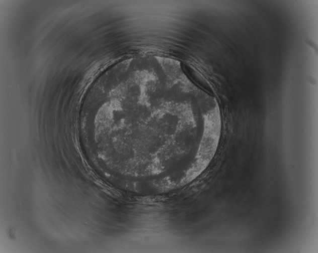 X0000100500241200807031947