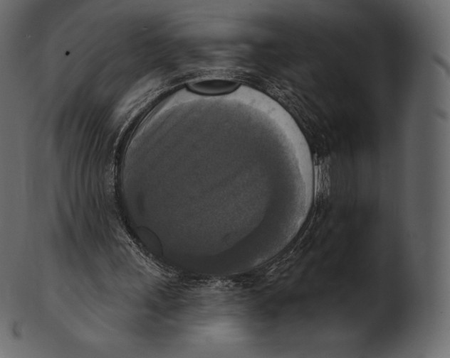 X0000100500243200807031947