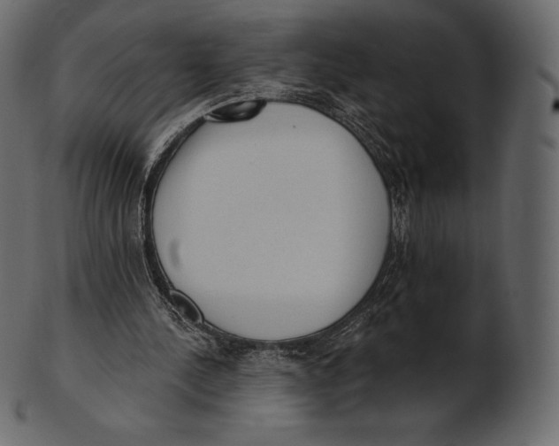 X0000100500244200807031947