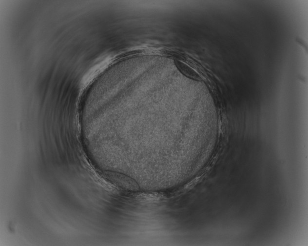 X0000100500245200807031947