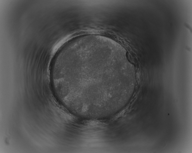 X0000100500246200807031947