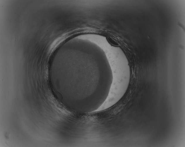 X0000100500247200807031947