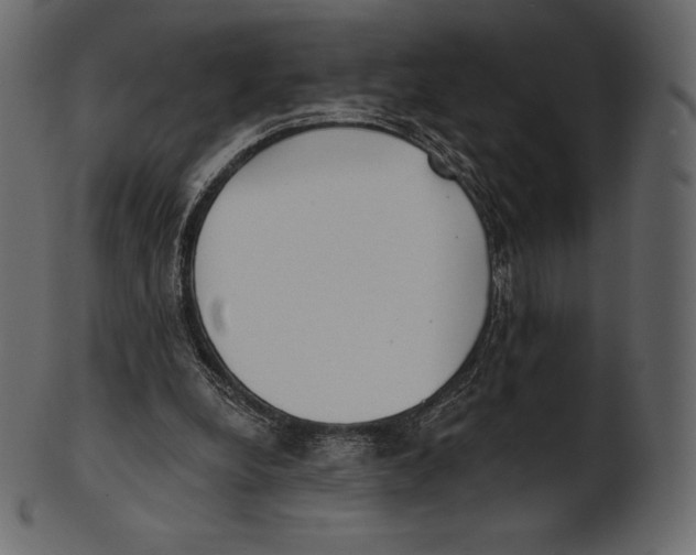 X0000100500248200807031947