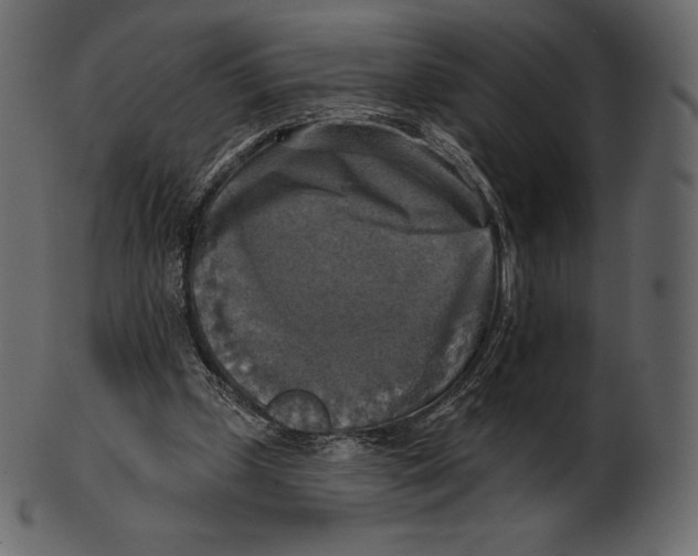 X0000100500249200807031947