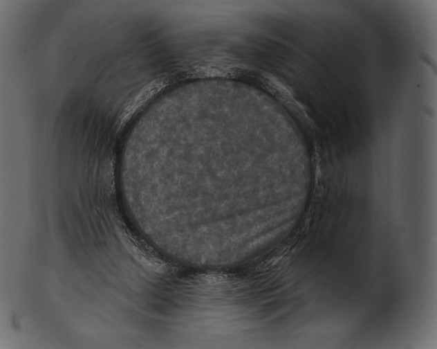 X0000100500250200807031947