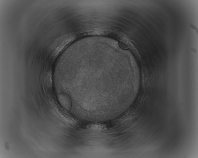 X0000100500251200807031947