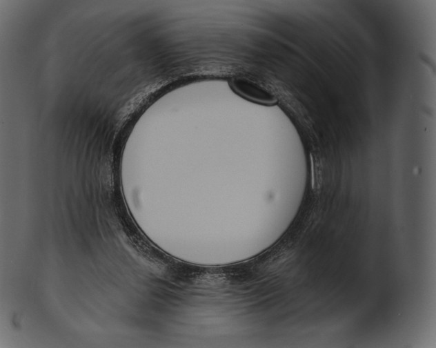 X0000100500252200807031947