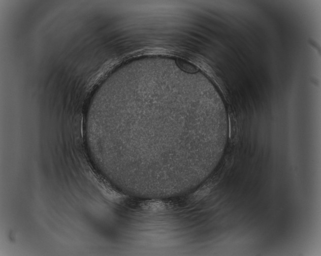 X0000100500253200807031947