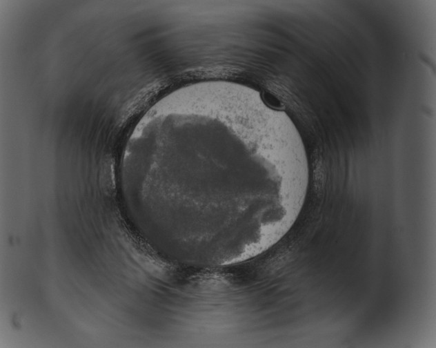 X0000100500254200807031947