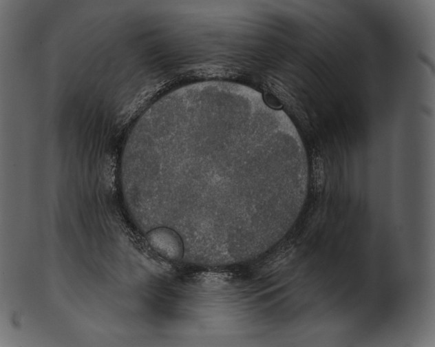 X0000100500255200807031947